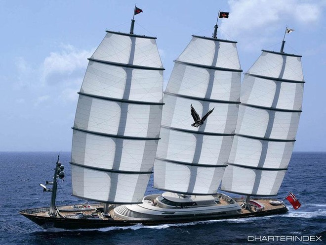 Maltese Falcon ©  SW